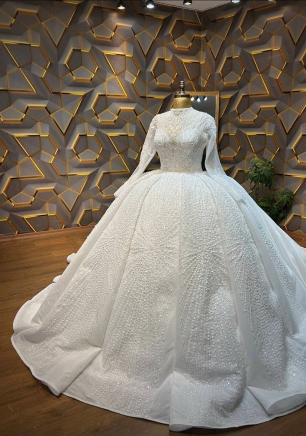 Robe de Mariée Princesse Luxury, Manches Longues