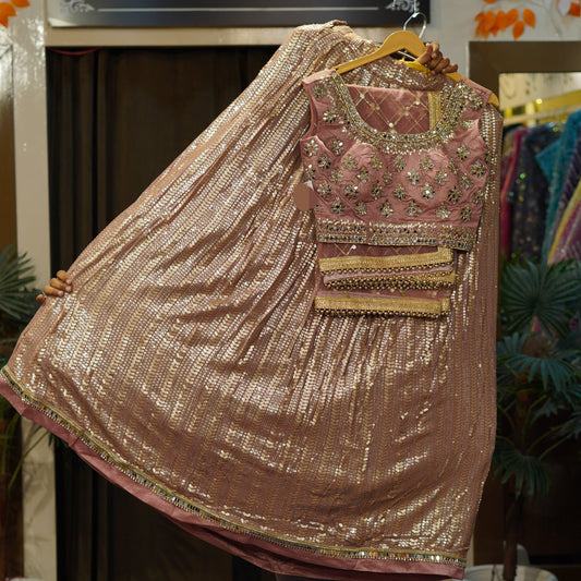 Lehenga Sparkling