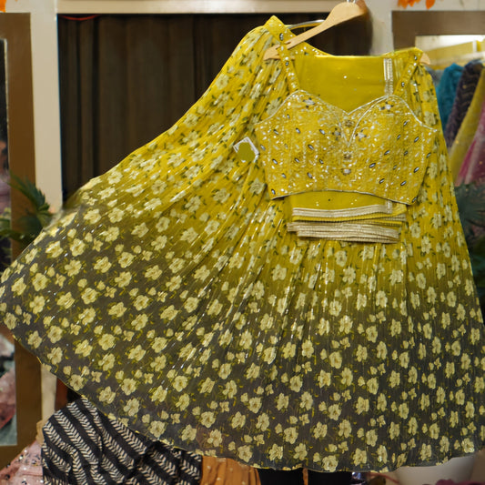 Lehenga Vert Dégradé